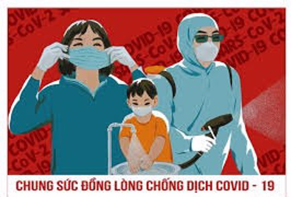 Triển khai Thông báo kết luận số 164/TB-VPCP và Chỉ thị số 19/CT-TTg của Thủ tướng Chính phủ